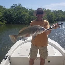 Redfish Run in Florida